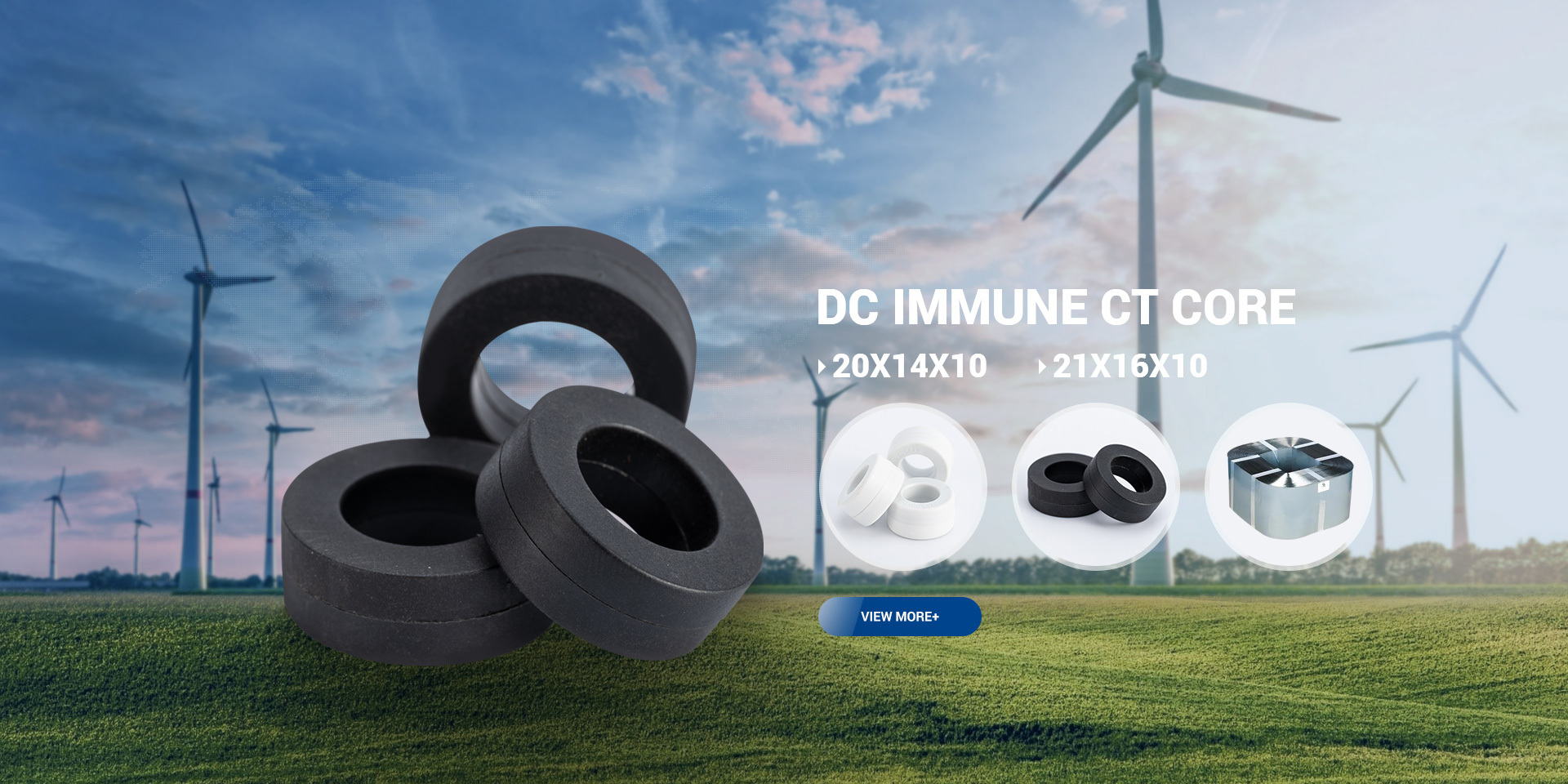 DC-immune-ct-core